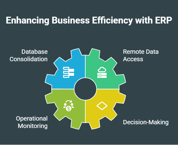 Business Efficiency with eresource ERP